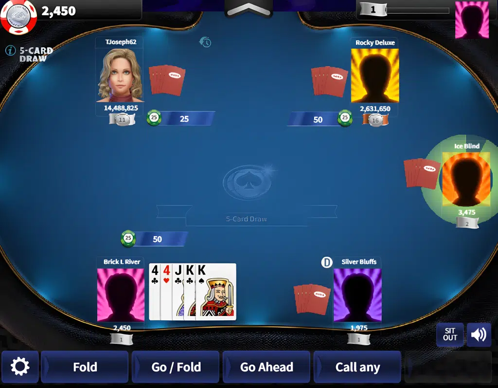 5 card draw - poker variations